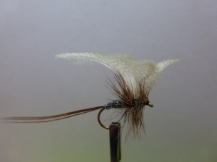 Size 10 Mayfly Blue Dun